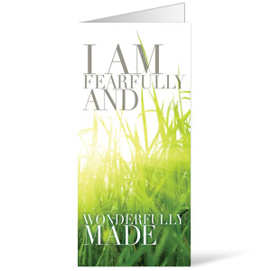 Wonderfully Made 11 x 17 Bulletins