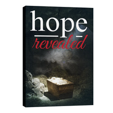 Hope Revealed Manger 