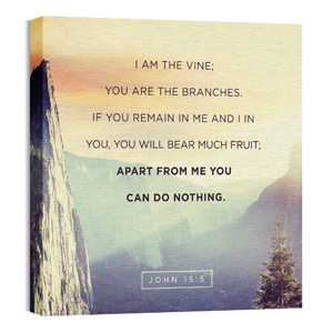 John 15:5 Mountain Crag 24 x 24 Canvas Prints