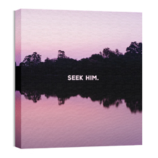 Pink Sky Seek Him 