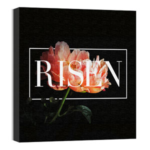 Risen Flower 24 x 24 Canvas Prints