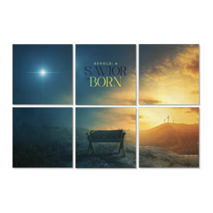 Behold A Savior Is Born Set 24 x 24 Canvas Prints