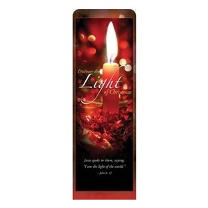 Discover Christmas Light 2' x 6' Sleeve Banner