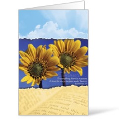 Seasons Summer Bulletins 8.5 x 11