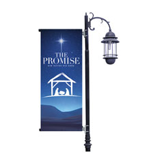 The Promise Manger 