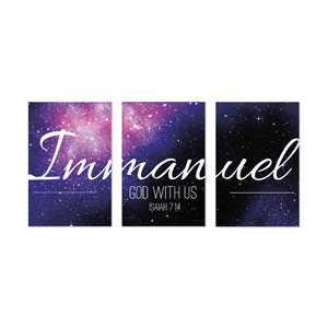 Immanuel Isaiah 7:14 23" x 34.5" Rigid Wall Art