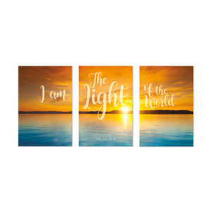 Lake Light of World 23" x 34.5" Rigid Wall Art