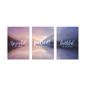 Romans 12:12 Triptych 23" x 34.5" Rigid Wall Art