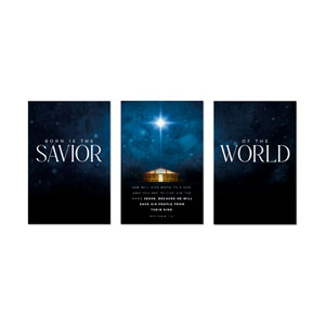 Savior of the World Triptych 23" x 34.5" Rigid Wall Art