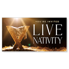 Live Nativity Manger 