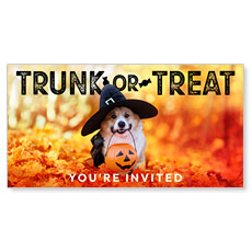 Trunk or Treat Dog 